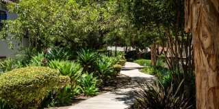 Rancho Monte Vista Luxury Apartment Homes Gallery 65