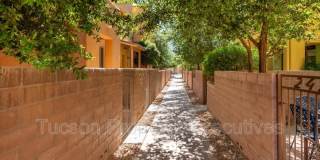 2442 East Emerald Moon Drive - 1 Gallery 34