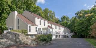 Greenwich Oaks Gallery 1