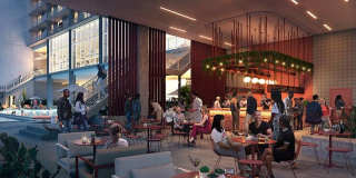 X Phoenix Gallery 20