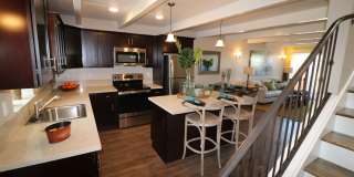 Ramblewood Apartments Gallery 31