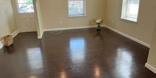 42 HOLLAND Avenue Gallery 4