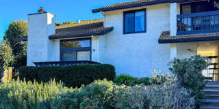 LESLA (I/O) Gallery 1