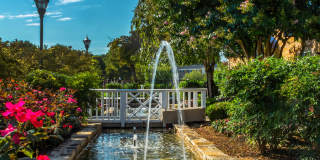 Deertree Gallery 17