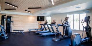 Scouter's Mountain Gallery 21