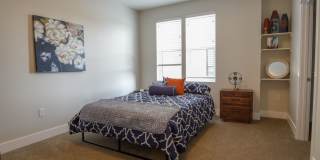The Bungalows on the Lake - The View Gallery 152