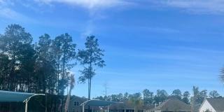 Available Now! Gallery 35