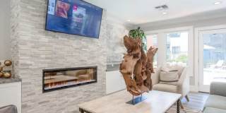 The Woods Gallery 14