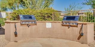 33575 N DOVE LAKES Drive Gallery 30
