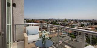 Ovelo Hollywood Gallery 12