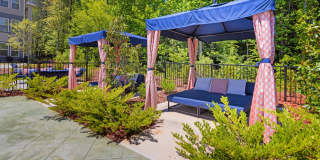 Alta Town Center Gallery 63