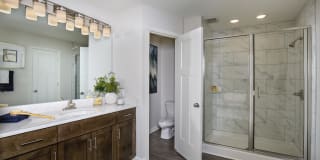 The Willows Apartments Gallery 14