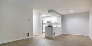 The Docks at Redmond Lakeview Gallery 55