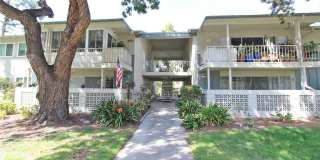 107 Via Estrada #P Gallery 1