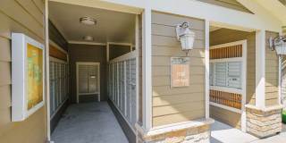 Northgate Oaks Gallery 48
