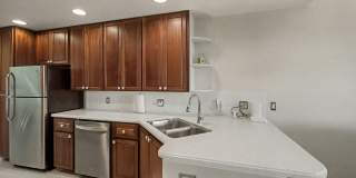 124 Courtenay Court Gallery 4