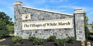 8302 DIETER Drive Gallery 1