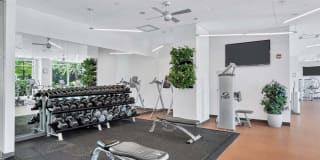 Prosperity Flats Apartments Gallery 21