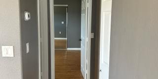 1516 Calavo Dr Gallery 5