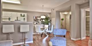 Summer Winds Gallery 12