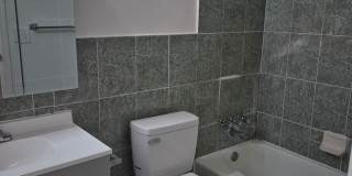 Spacious and remodeled 4 Bedroom, 2 Bath, Fireplace, Garage in Pebble North Gallery 8