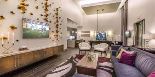 Venue Gallery 15