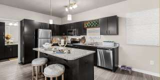 Springs at Coral Shores Gallery 4