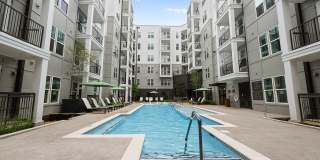 The Scottie Gallery 15