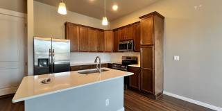 Mangold831 (KC-LN) Gallery 12