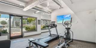 Ardella on 28 Gallery 16