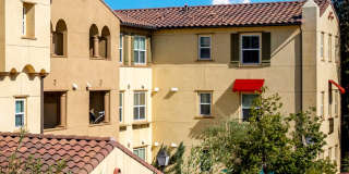 Paseos At Magnolia Luxury Apartment Homes Gallery 63