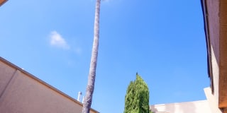 1951 Frank St. / 2519 Virginia Ave Gallery 58