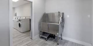 The Fitzgerald Gallery 11