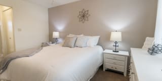 Lake of the Woods Gallery 22