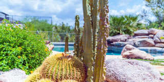 8193 E SAND FLOWER Drive Gallery 81