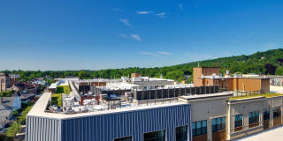 Valley and Bloom Gallery 10