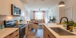 Northbend Gallery 5