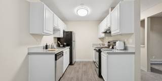 Tessera Apartments Gallery 6