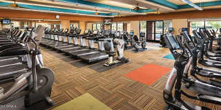 55+ Amenity rich Pebble Creek community! Gallery 26