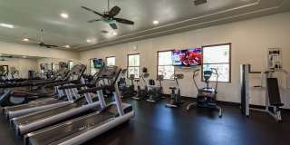 Serenity and Luxury Abound in Eastlake! Gallery 47