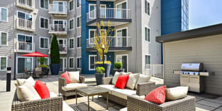 Harrington Square Gallery 1