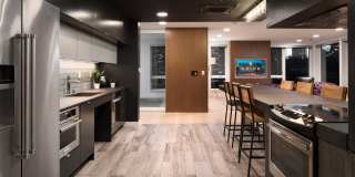 Orion Gallery 15