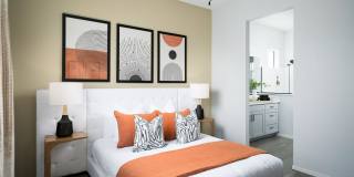 Canopy at Sundance Gallery 31