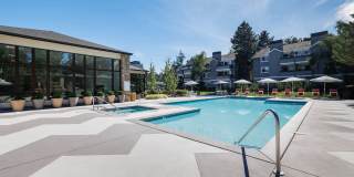 Boulders at Puget Sound Gallery 1