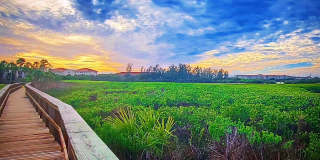 630 Bird Bay Drive East Gallery 28