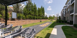 Sugarloaf Grove Gallery 16