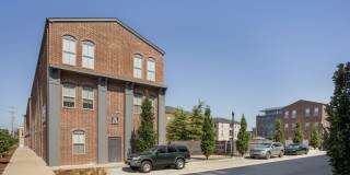 Thrive Argenta Gallery 4