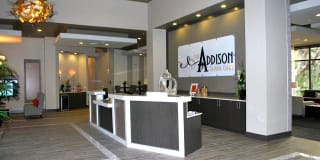 Addison at Tampa Oaks Gallery 3