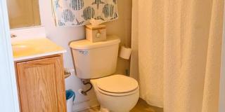 Stunning 2-Bed, 2-Bath Condo in Salisbury Gallery 38