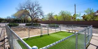 Whispering Sands Gallery 22